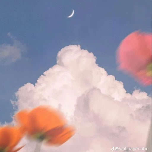 박도원