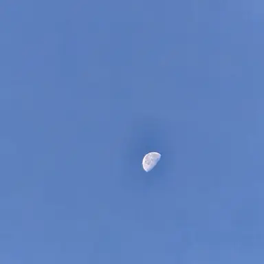 Profile image of 후시구로 메구미