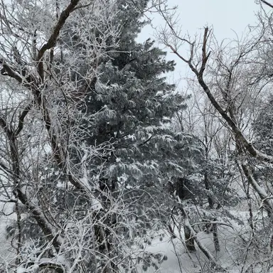 Profile image of 나재민