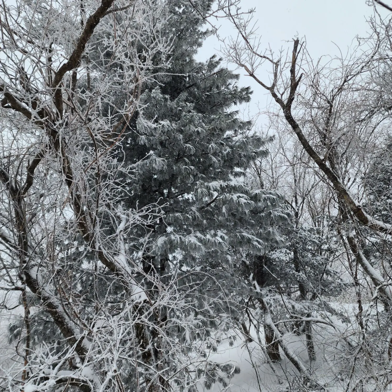 BitingOil2973의 나재민