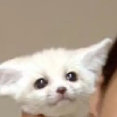 Profile image of 홍 시영
