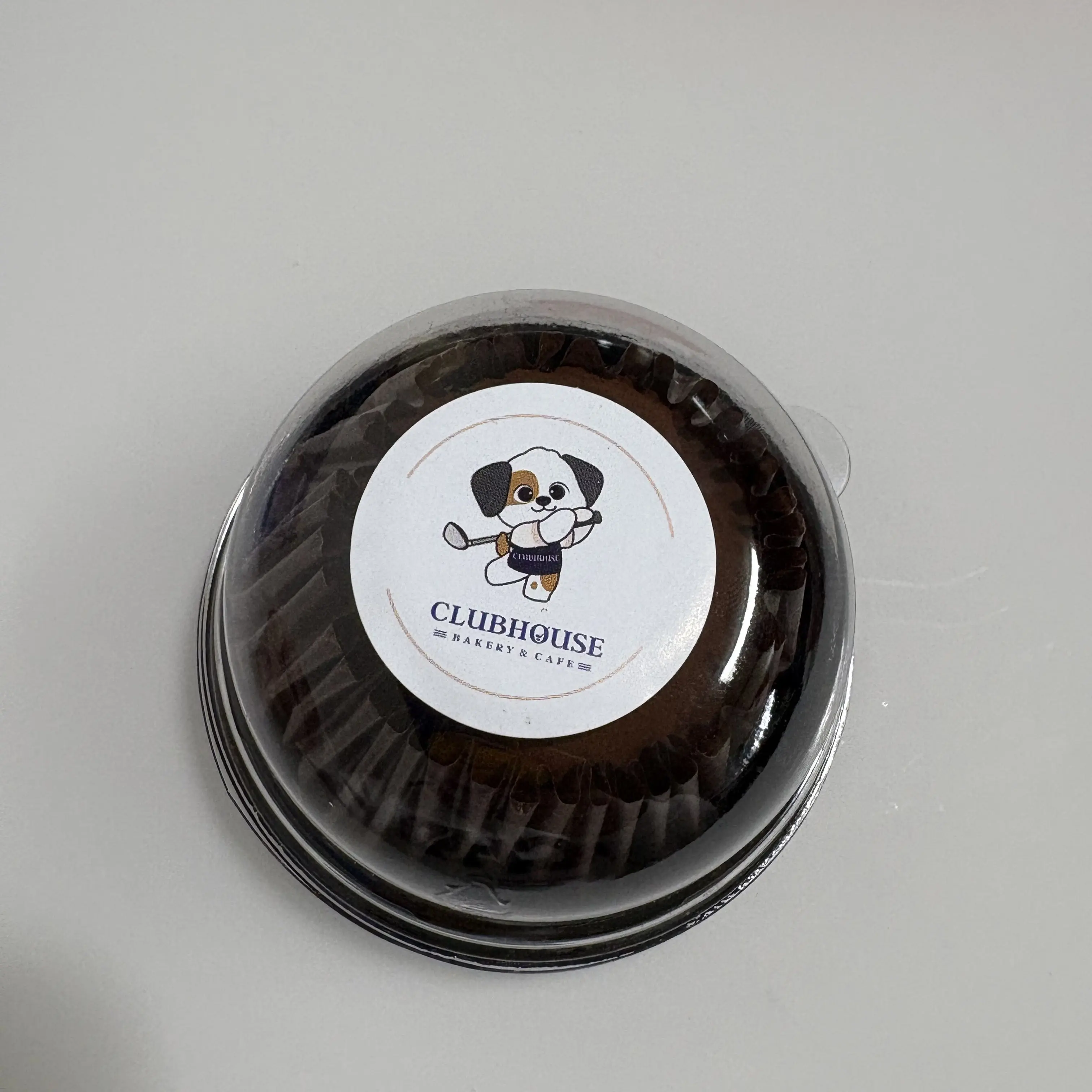 HumaneWall8433의 내가 채스터 동생?