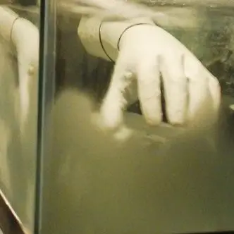 Profile image of 알파