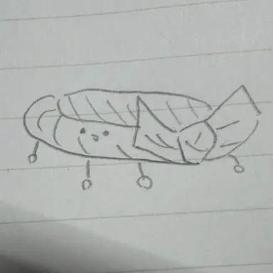 Profile image of クロム