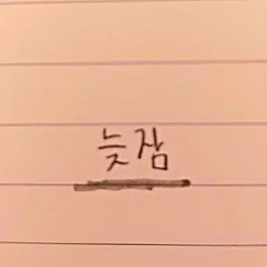 Profile image of 늦잠