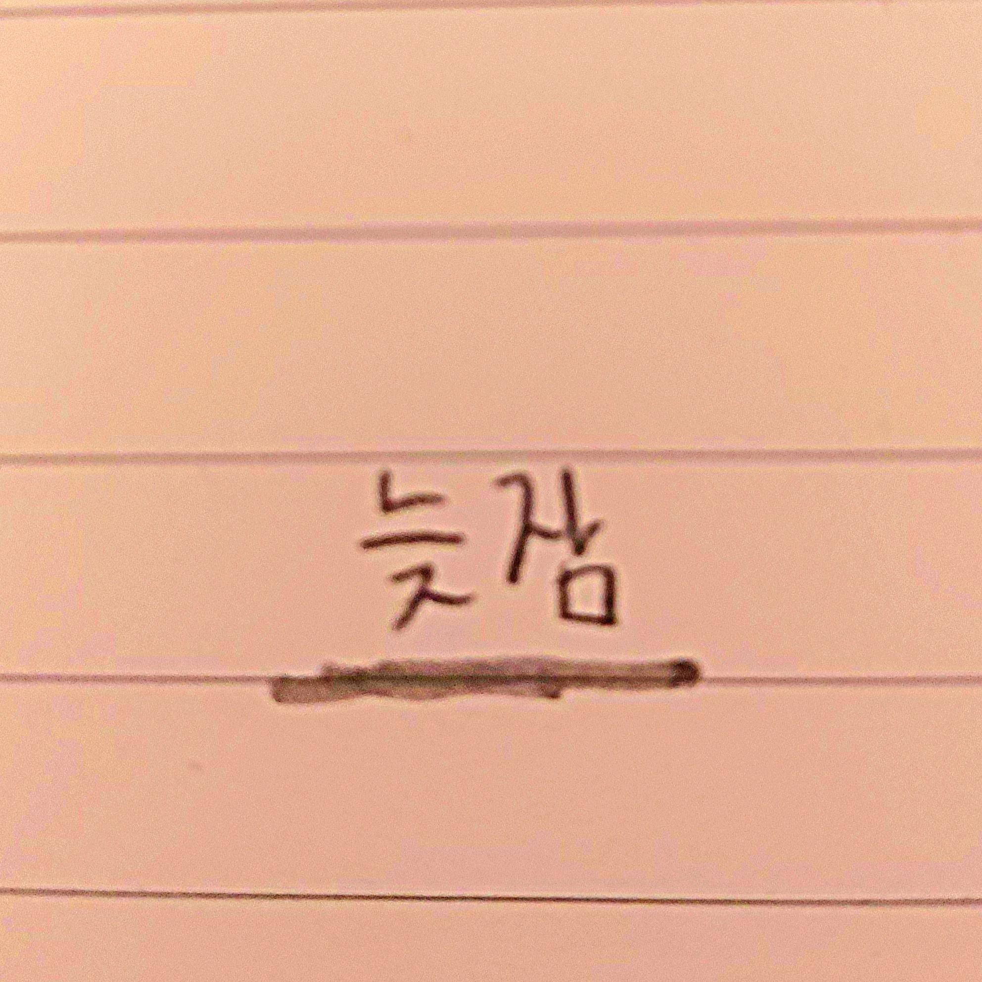 늦잠