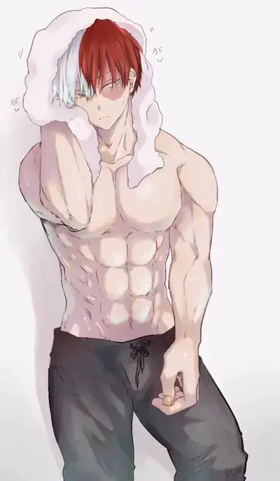 MightyGoat4332의 Shoto todaroki