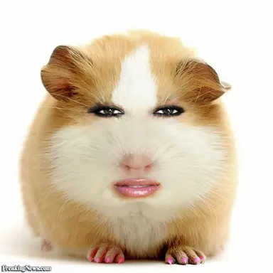 Profile image of Seong-bin