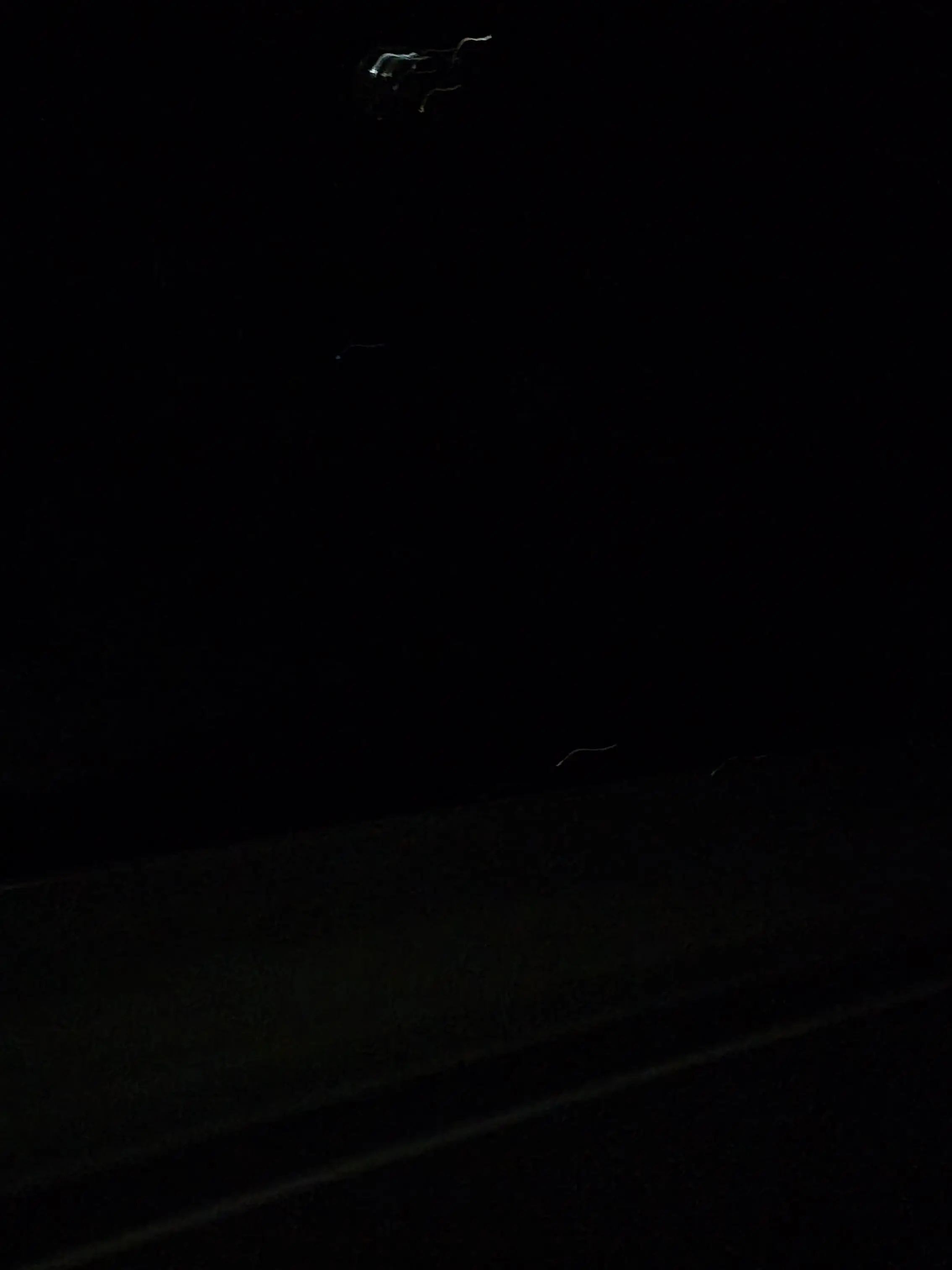 aimn_.3ll의 뜰팁 인어학교