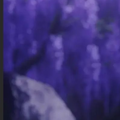 여자는 가슴 남자는 그것 크기가보임 대표 이미지