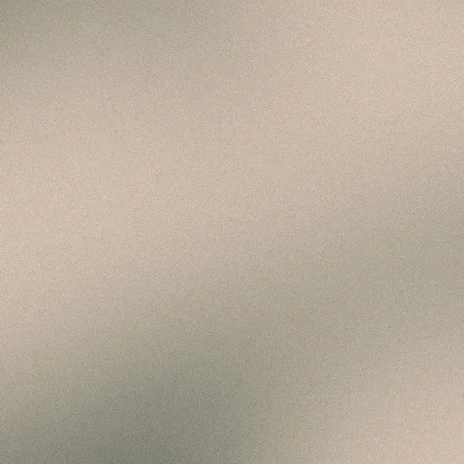 pRomisx의 홍일점