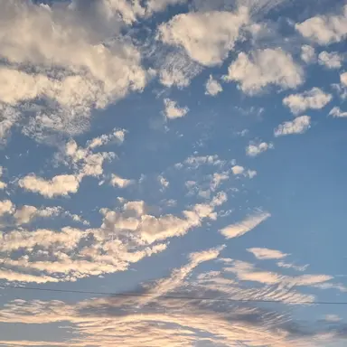 Profile image of 혈귀