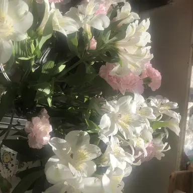 Profile image of ㄱㄷㄱ