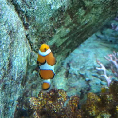 Profile image of 우참