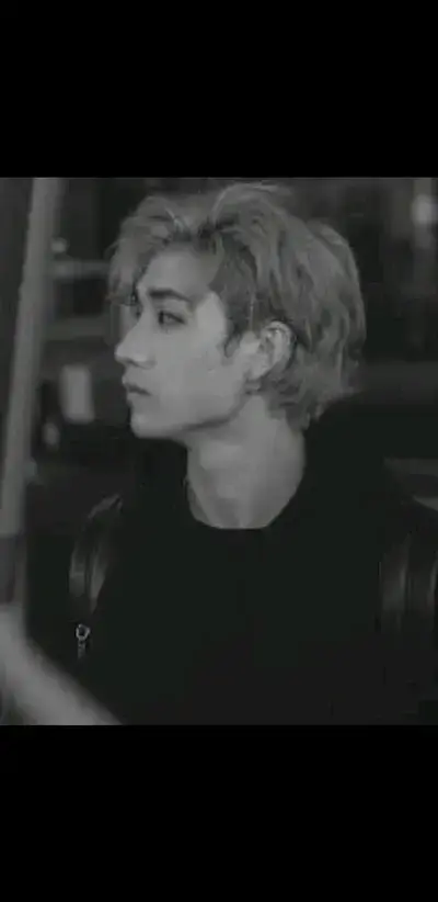 StaleWife4251의 Bangchan-Step brothe