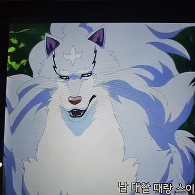 Profile image of 페르