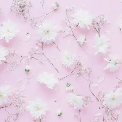 PortlyOpah6217의 어리광쟁이 후배 레이아