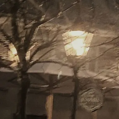 Profile image of 준브레드