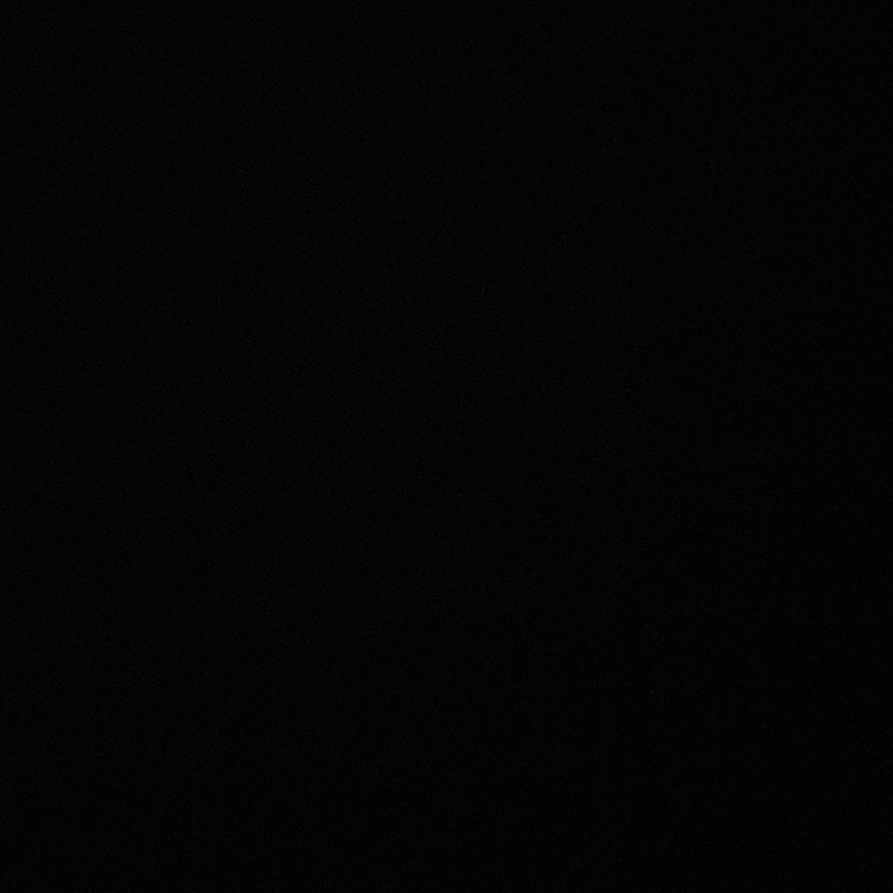권지용과 여우 대표 이미지