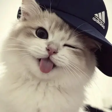 Profile image of サンヒョン