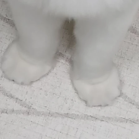 최윤혁