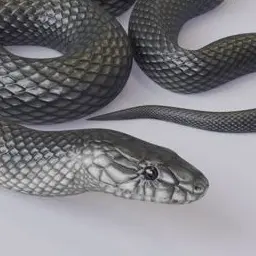 Profile image of 백지