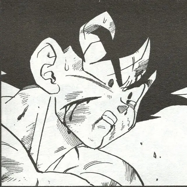 anymeongasoriya0의 손오공