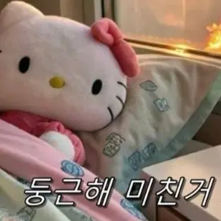 Profile image of 여우