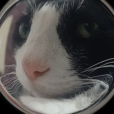 Profile image of 프로슈토