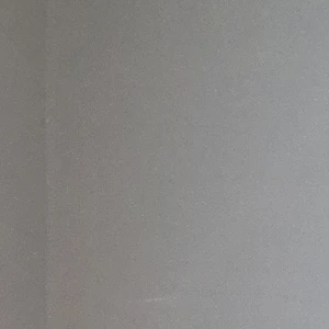 공룡