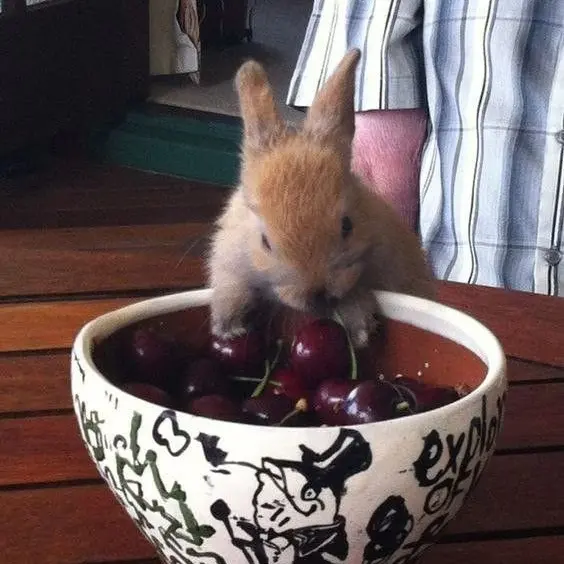 Ko_ha.1717의 adhdな彼氏