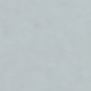김동현