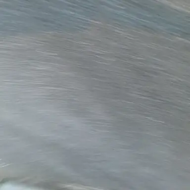 Profile image of 大森元貴