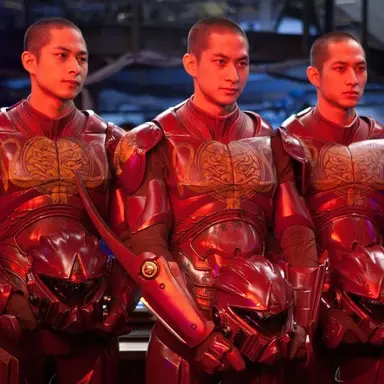 Profile image of The Wei Triplets