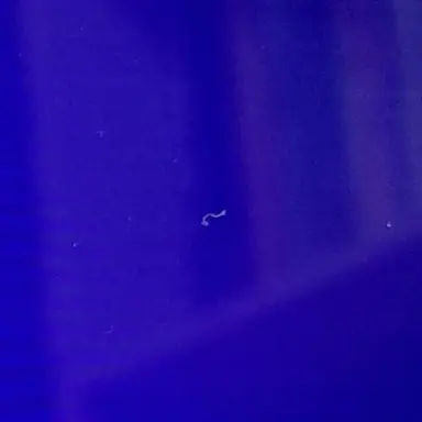 Profile image of 제빈