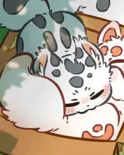 Profile image of フク