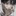 권하빈