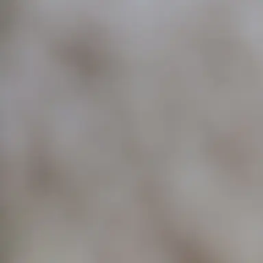 Profile image of 오뉴