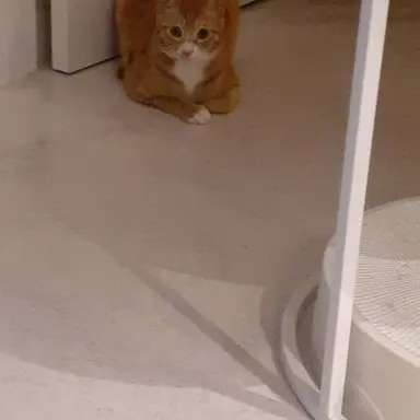 Profile image of 백현