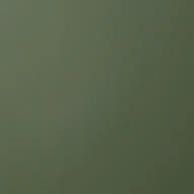Profile image of 공룡