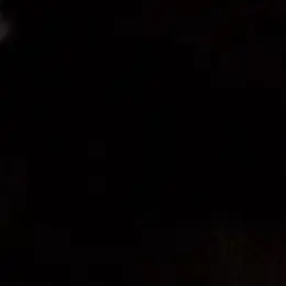 Profile image of user