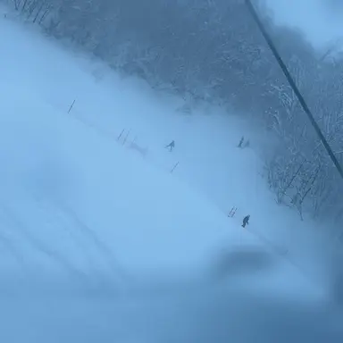 Profile image of リキ