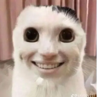 Profile image of 괴도잼냥