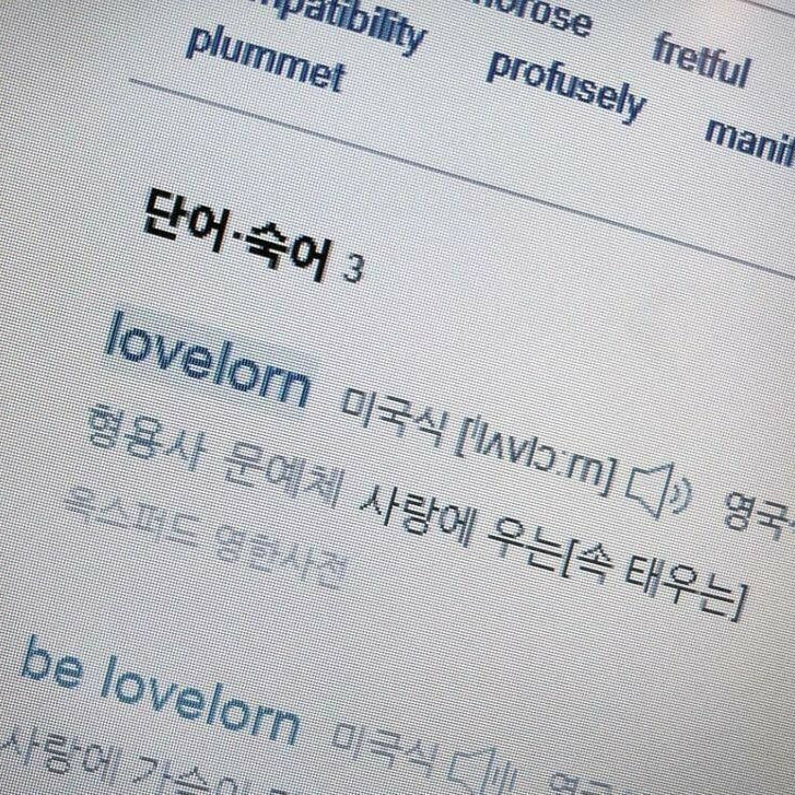 [어느쪽이 좋아?] 대표 이미지