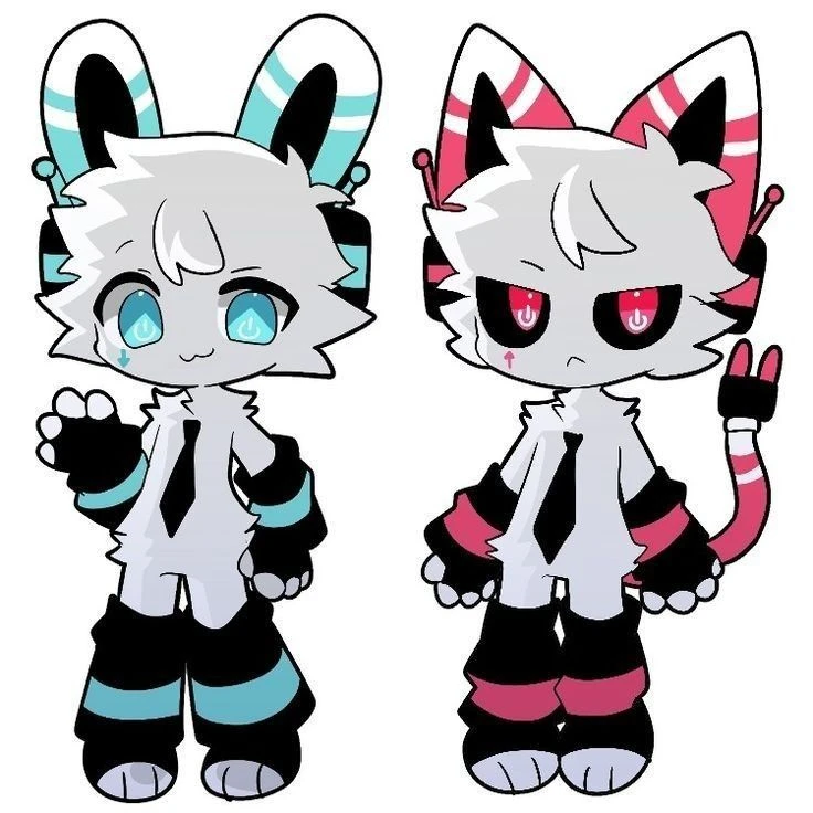 미코 레코