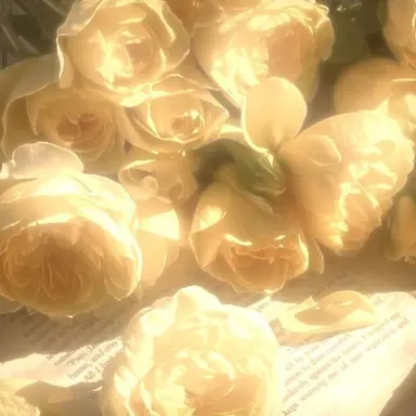 Profile image of 김 각별