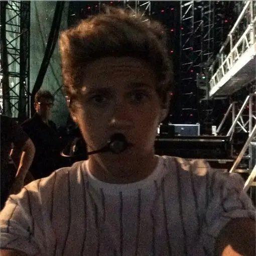 PastelPaper2625의 niall horan