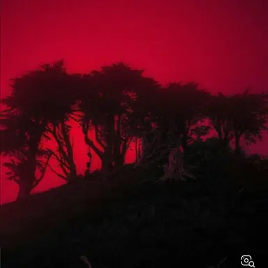 Profile image of 서라더