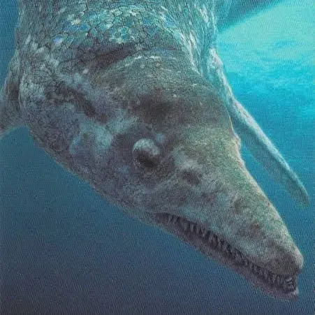 dinosaur20060822의 윤교