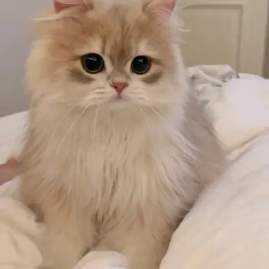 Profile image of 아론